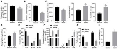 Stanniocalcin-1 Overexpression Prevents Depression-Like Behaviors Through Inhibition of the ROS/NF-κB Signaling Pathway